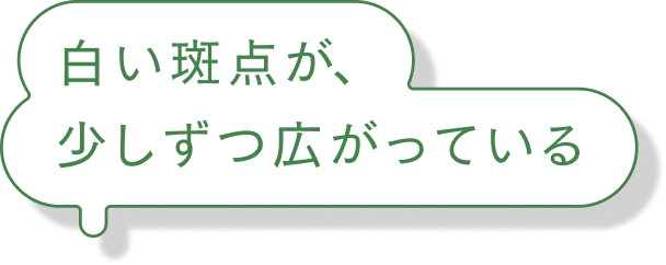 白い斑点が、少しずつ広がっている