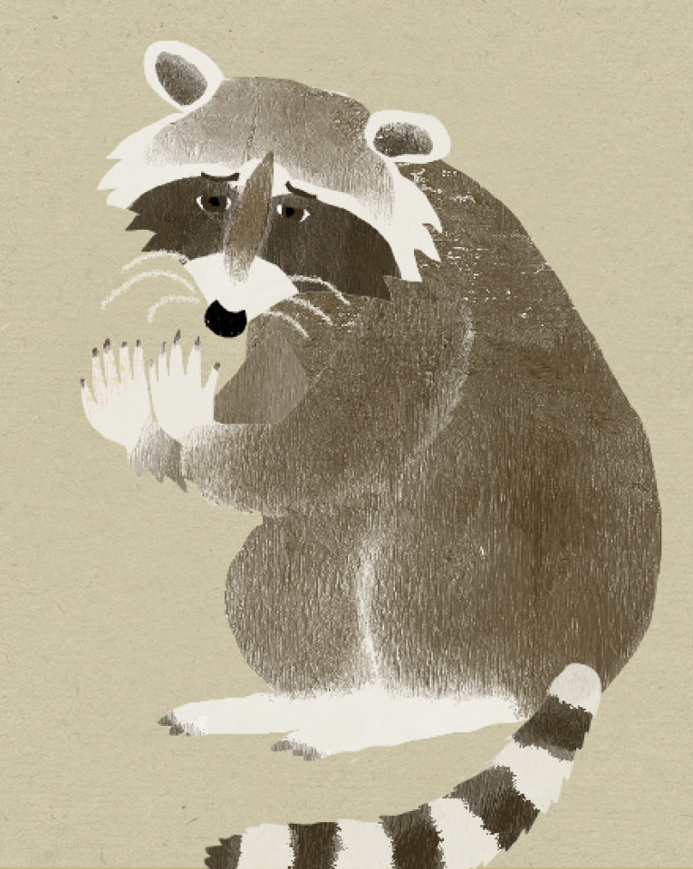 掌蹠膿疱症のイラスト
