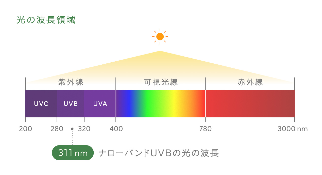 ナローバンドUVBで用いる波長領域の図