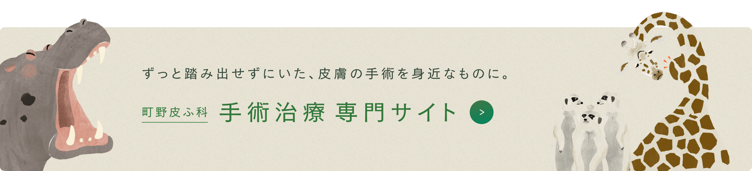 町野皮ふ科 手術治療専門サイト