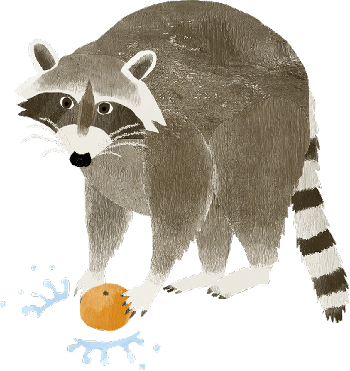 掌蹠膿疱症のイラスト